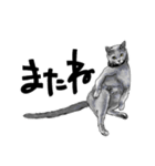 グレーの猫とよく使う言葉だけスタンプ（個別スタンプ：32）