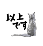 グレーの猫とよく使う言葉だけスタンプ（個別スタンプ：33）