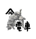 グレーの猫とよく使う言葉だけスタンプ（個別スタンプ：35）