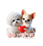 ビションフリーゼとチワワ♡3Dリアル（個別スタンプ：2）