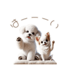 ビションフリーゼとチワワ♡3Dリアル（個別スタンプ：5）