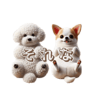 ビションフリーゼとチワワ♡3Dリアル（個別スタンプ：6）