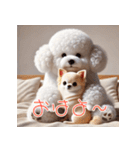 ビションフリーゼとチワワ♡3Dリアル（個別スタンプ：7）