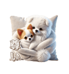 ビションフリーゼとチワワ♡3Dリアル（個別スタンプ：10）