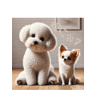 ビションフリーゼとチワワ♡3Dリアル（個別スタンプ：11）