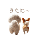 ビションフリーゼとチワワ♡3Dリアル（個別スタンプ：12）