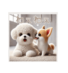 ビションフリーゼとチワワ♡3Dリアル（個別スタンプ：13）