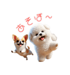 ビションフリーゼとチワワ♡3Dリアル（個別スタンプ：14）