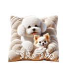 ビションフリーゼとチワワ♡3Dリアル（個別スタンプ：15）