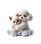 ビションフリーゼとチワワ♡3Dリアル（個別スタンプ：19）