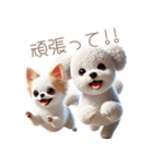 ビションフリーゼとチワワ♡3Dリアル（個別スタンプ：20）