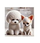 ビションフリーゼとチワワ♡3Dリアル（個別スタンプ：31）