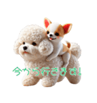 ビションフリーゼとチワワ♡3Dリアル（個別スタンプ：33）