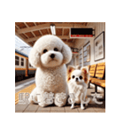 ビションフリーゼとチワワ♡3Dリアル（個別スタンプ：36）