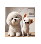 ビションフリーゼとチワワ♡3Dリアル（個別スタンプ：37）