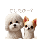 ビションフリーゼとチワワ♡3Dリアル（個別スタンプ：38）