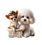 ビションフリーゼとチワワ♡3Dリアル（個別スタンプ：40）