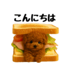 おいしそうなトイプードル（個別スタンプ：2）