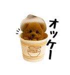 おいしそうなトイプードル（個別スタンプ：4）