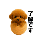 おいしそうなトイプードル（個別スタンプ：8）