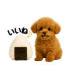 おいしそうなトイプードル（個別スタンプ：12）