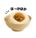 おいしそうなトイプードル（個別スタンプ：14）