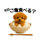 おいしそうなトイプードル（個別スタンプ：17）
