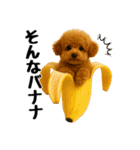 おいしそうなトイプードル（個別スタンプ：20）
