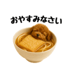おいしそうなトイプードル（個別スタンプ：21）
