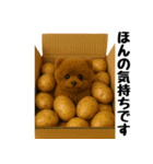 おいしそうなトイプードル（個別スタンプ：22）