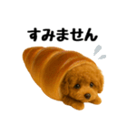 おいしそうなトイプードル（個別スタンプ：28）