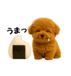 おいしそうなトイプードル（個別スタンプ：29）