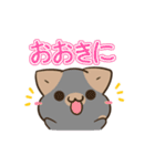 動く！毎日五月病なねこたち 関西弁3（個別スタンプ：2）