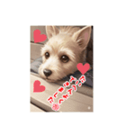 フレンドリー犬（個別スタンプ：6）