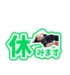 ハイプライドのLINEスタンプ（個別スタンプ：18）