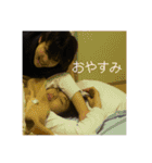 いい子ちゃんたち（個別スタンプ：8）