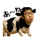 チー牛の陰キャスタンプ(意外と使える返信)（個別スタンプ：13）