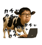 チー牛の陰キャスタンプ(意外と使える返信)（個別スタンプ：31）