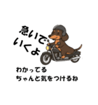 犬とバイクが大好きな人用スタンプ（個別スタンプ：3）