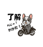 犬とバイクが大好きな人用スタンプ（個別スタンプ：6）
