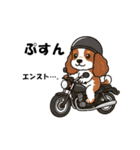 犬とバイクが大好きな人用スタンプ（個別スタンプ：8）