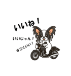 犬とバイクが大好きな人用スタンプ（個別スタンプ：10）