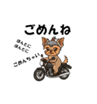 犬とバイクが大好きな人用スタンプ（個別スタンプ：11）