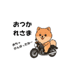 犬とバイクが大好きな人用スタンプ（個別スタンプ：13）