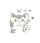 猫のひまともも（個別スタンプ：4）
