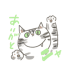 猫のひまともも（個別スタンプ：5）