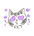 猫のひまともも（個別スタンプ：8）