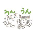 猫のひまともも（個別スタンプ：9）