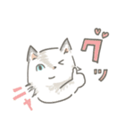 猫のひまともも（個別スタンプ：10）