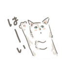 猫のひまともも（個別スタンプ：12）